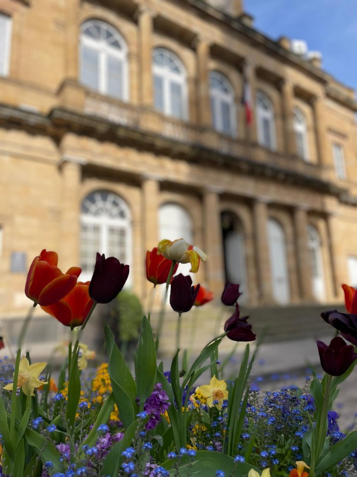Le Banville - Lumineux Proche Hopital